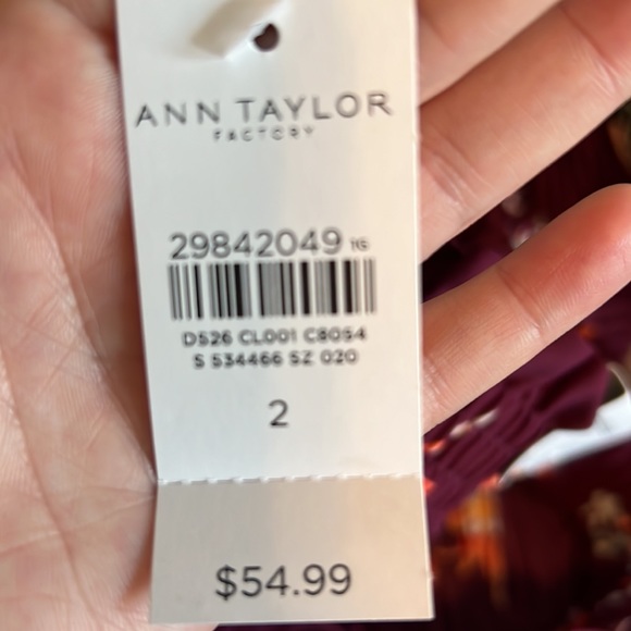 Ann Taylor never been worn high waisted pleated shorts - Picture 3 of 3